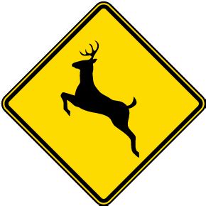 Animal Crossing Road Signs | Custom Signs Available