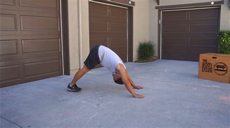 Downward dog to push up - The Body Dojo