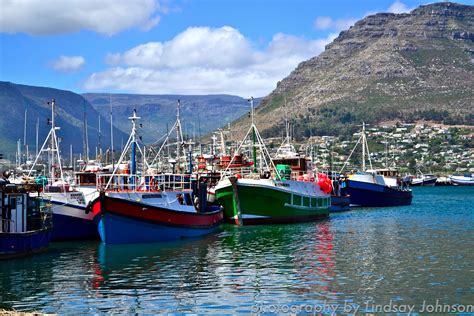 hout bay harbour - Google Search | Day tours, Cape town, Hout bay