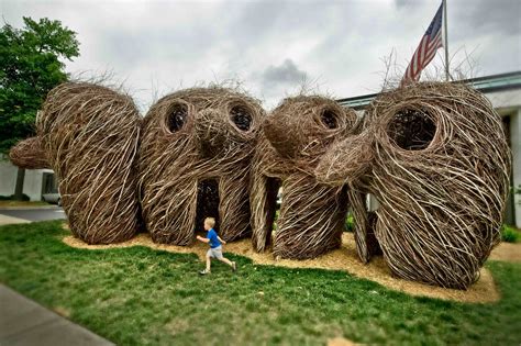 Documentary film about stick sculpture Patrick Dougherty