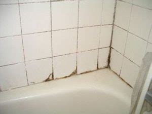 Easy Mold Removal Tips for your Bathroom - AA Action Waterproofing