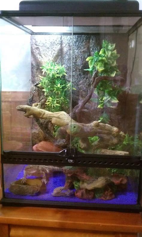 17 Best images about Reptile tank setup ideas on Pinterest | Python ...