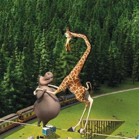 Image - Melman and gloria.jpg - Madagascar Wiki