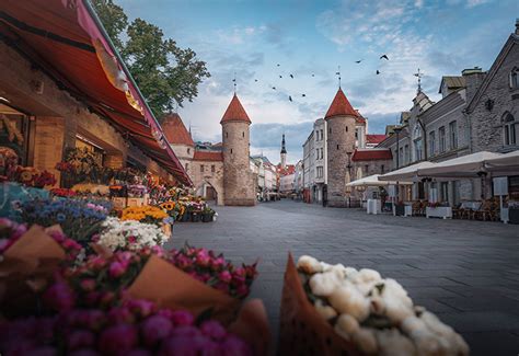 Tallinn Old Town - History and Facts | History Hit