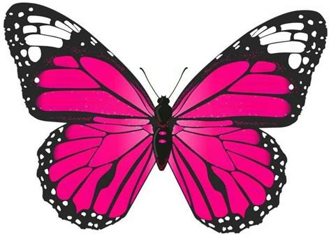 Pin by Alev B. Tolluoğlu on 복사 | Pink butterfly, Butterfly drawing ...