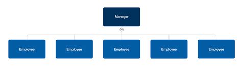 Four Types of Organizational Charts: Functional Top-Down, Flat ...