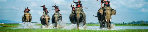 11 Malaysia Wildlife Tour Package - Malaysia Wildlife Tours