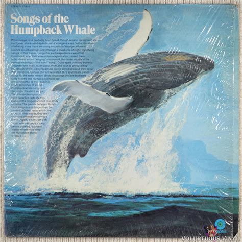 Humpback Whale ‎– Songs Of The Humpback Whale (?) Vinyl, LP, Album ...