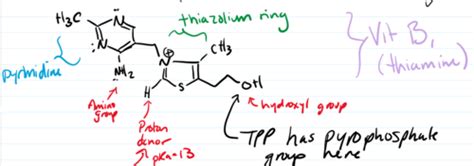 Thiamine Pyrophosphate (TPP) Flashcards | Quizlet