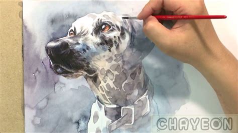 Watch Tutorial On Watercolor Paint And Pencil Animal Art