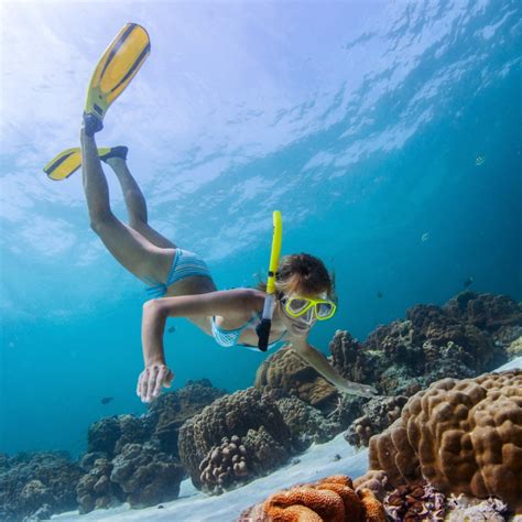 Ocean Freedom Great Barrier Reef Trip from Cairns