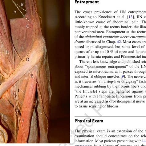 5 Diagnostic tests for ilioinguinal and iliohypogastric nerve ...