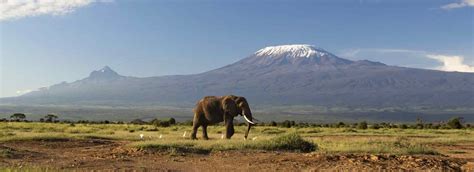 Mount Kilimanjaro National Park | Big Expeditions and Safaris