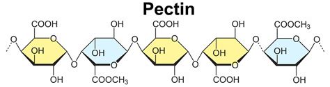 Pectin uses, benefits, sources of pectin, pectin in food & is pectin ...