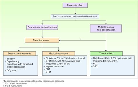 Treatment algorithm for actinic keratosis. CO 2 indicates carbon ...