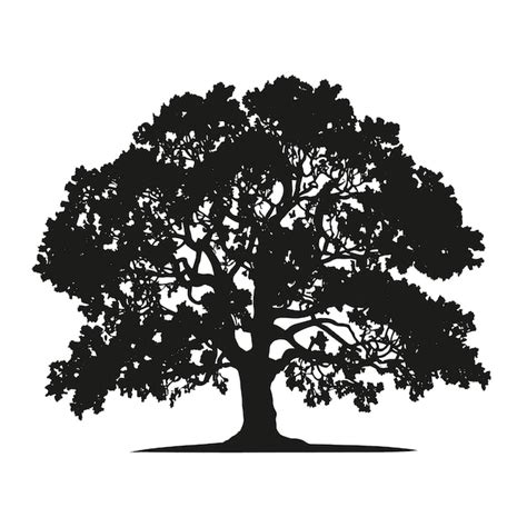 Hand drawn oak tree silhouette - Free Vector Template | IMGPANDA - A ...