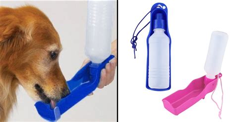 2-in-1 Foldable Pet Water Bottle & Drinking Bowl