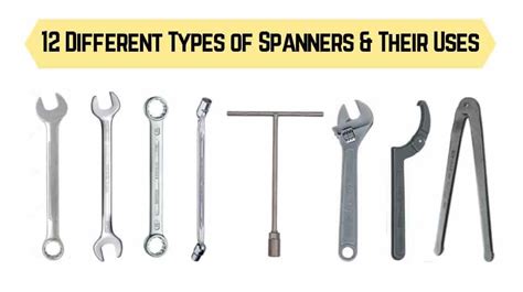 Spanner Set Sizes