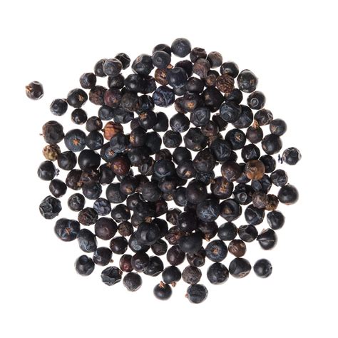 Juniper Berries | Bulk Juniper Berries | Wholesale Spices