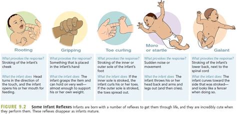 Physical development | Newborn assessment, Pediatric nursing, Newborn ...