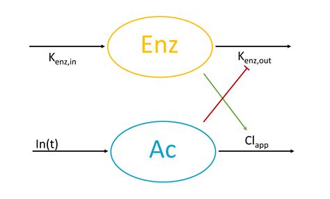 scheme_auto_induction | Mlxtran