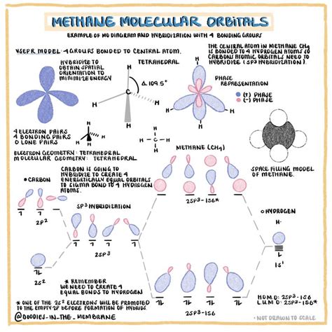 Molecular Orbital Diagram of Methane: Organic Chemistry Educational ...