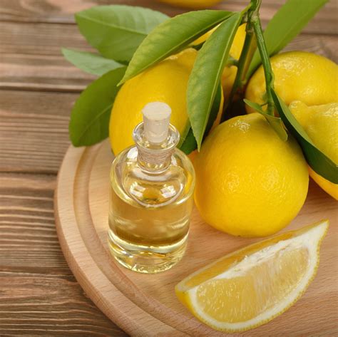 Lemon Oil at Rs 800/kg | Lemon Essential Oil, नींबू का तेल - Aroma ...