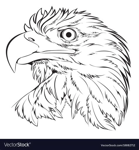 Bald eagle head hand draw black line on white Vector Image