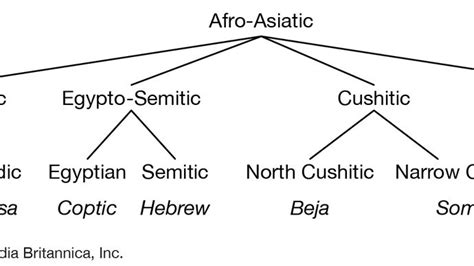 Afro-Asiatic languages | Britannica