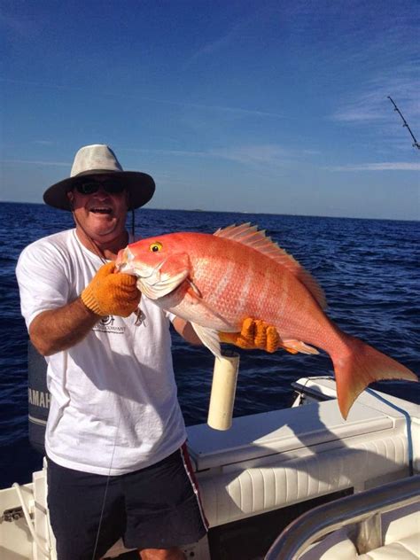 Today in Abaco: Beautiful Silk Snapper