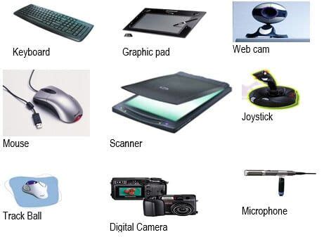 Computer Hardware Input Devices Examples