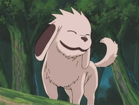 Akamaru In Boruto Akamaru Kiba Boruto Inuzuka Dogs Nocookie Kakashi ...