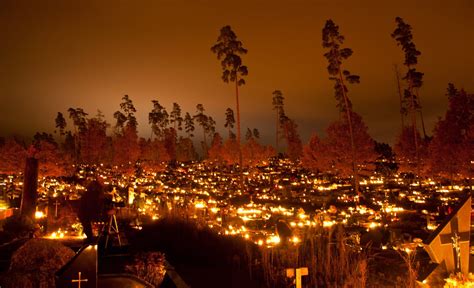 Decorated cemeteries for All Saints' Day in Poland | All saints day ...