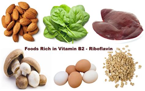 Riboflavin Vitamin Foods Supplements Deficiency Benefits Side Effects ...