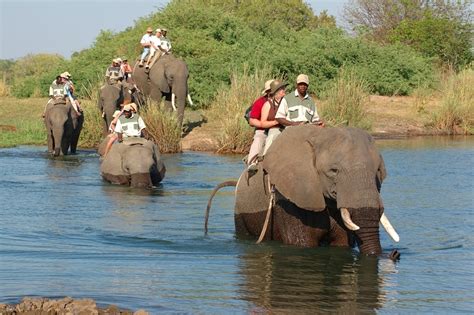 Zambia Safaris | Tour Cost & Prices | Holidays | Vacation Package