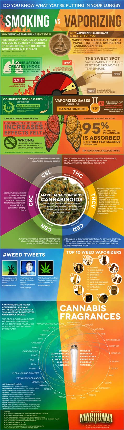 Marijuana - Smoking vs Vaporizing (Infographic) - Third Monk