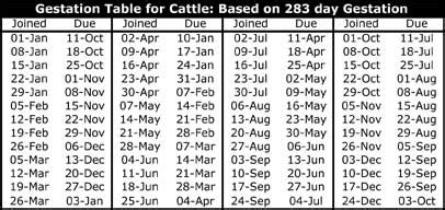 Beef Cow Gestation Calendar - All About Cow Photos