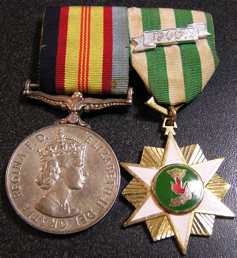 Lost Medals Australia: Vietnam War pair