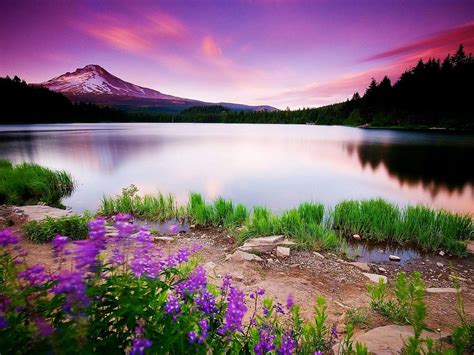 Desktop backgrounds - best hq nature wallpapers free | Flickr