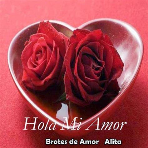 Brotes de Amor: Hola Mi Amor