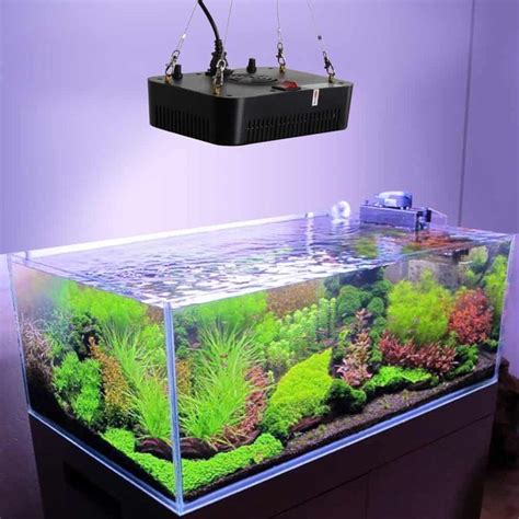 Top 3 LED Lights for Your Planted Aquarium And Guide | The Aquarium ...