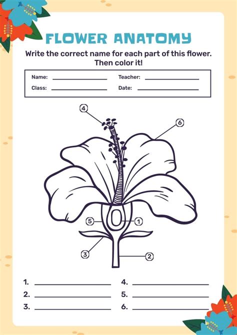 Flower Anatomy Worksheet | Best Flower Site