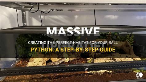 Creating The Perfect Habitat For Your Ball Python: A Step-By-Step Guide ...