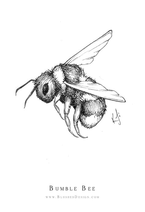 Flying Bumble Bee Drawing