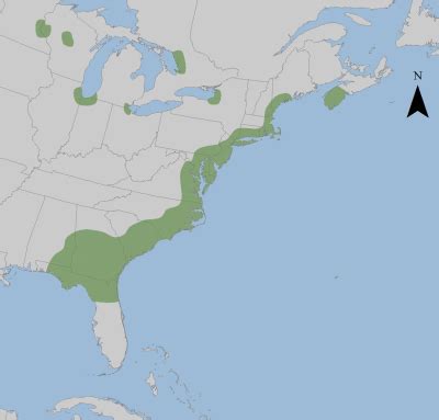 Gulf Coastal Plain Map