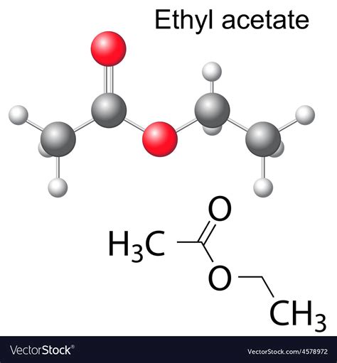 Formula and model of ethyl acetate molecule Vector Image