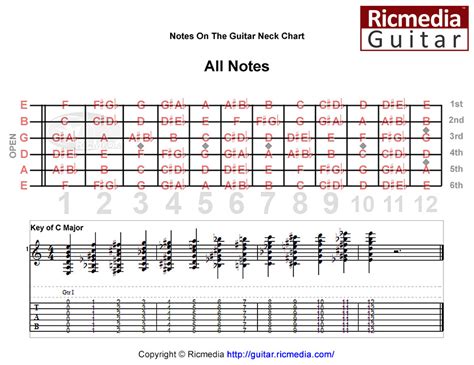 Notes on the guitar neck chart - Ricmedia Guitar