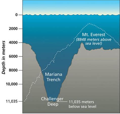 Which sea is the biggest in the world? - Quora