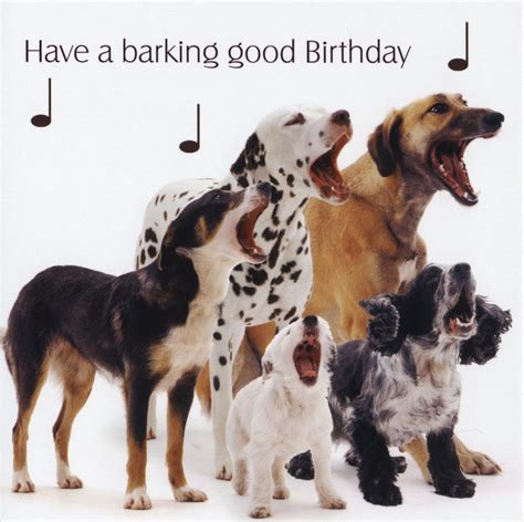 Birthday Quotes From Dogs. QuotesGram