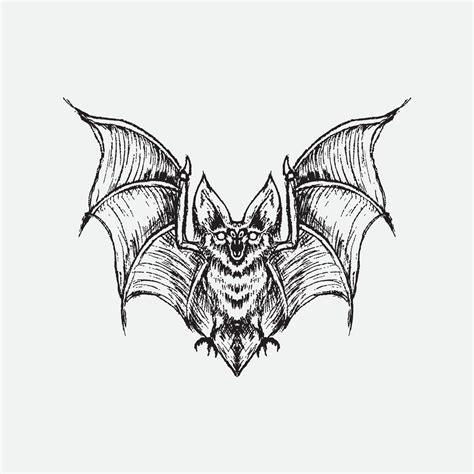 Bat drawing vector illustration, 5893867 Vector Art at Vecteezy